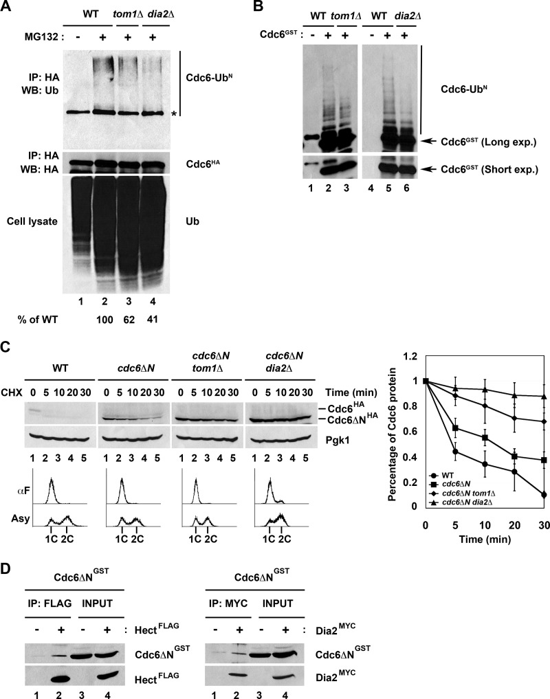 FIGURE 4.