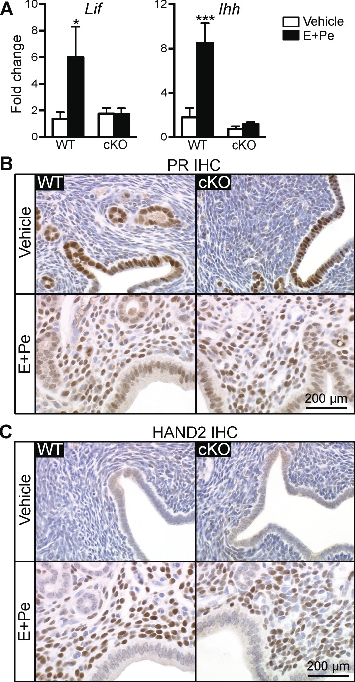 FIG. 7