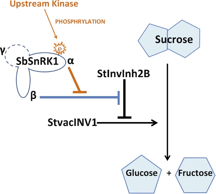 Figure 9.