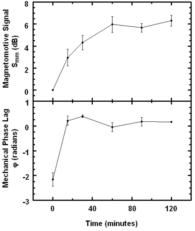 Fig. 6