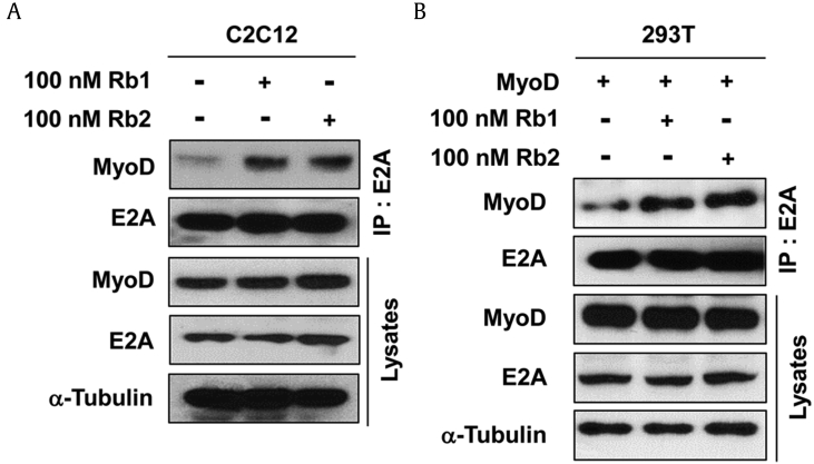 Fig. 3