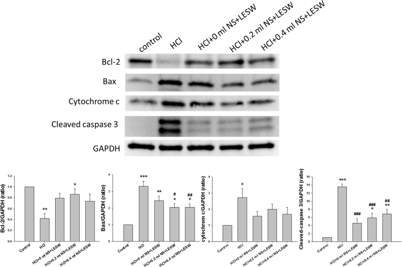 Fig. 6