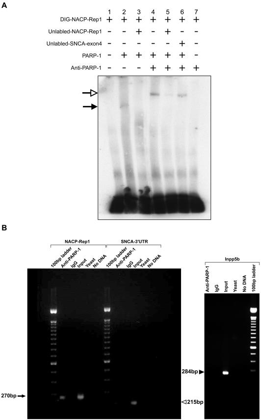 Figure  3