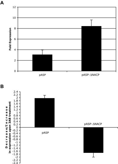 Figure  5