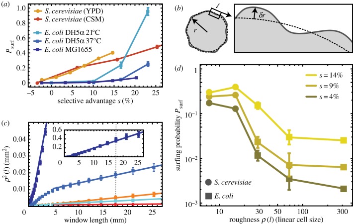 Figure 14.