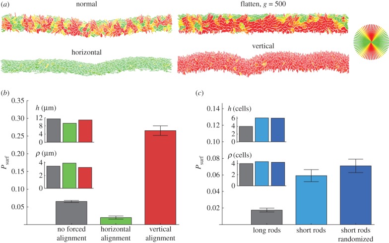 Figure 10.