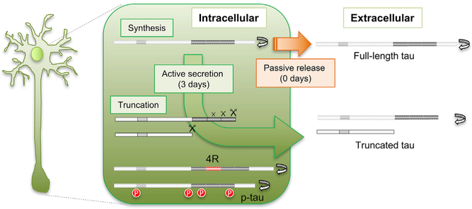 Figure 5.