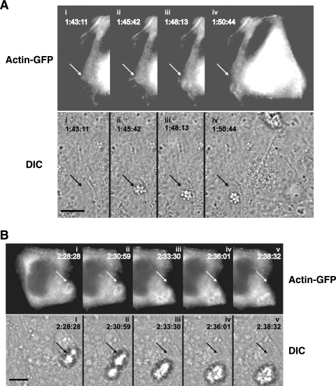 FIG. 4.