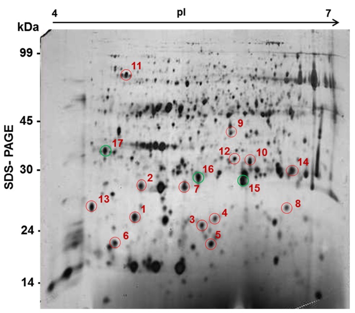 Figure 5