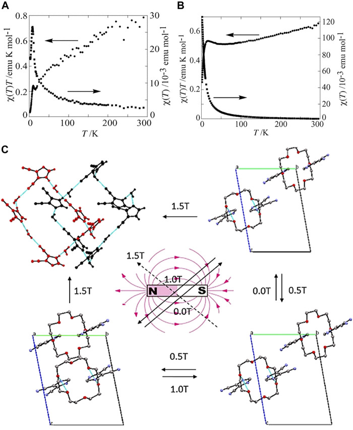 FIGURE 9