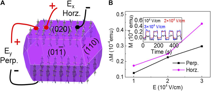 FIGURE 11