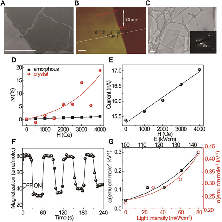 FIGURE 10