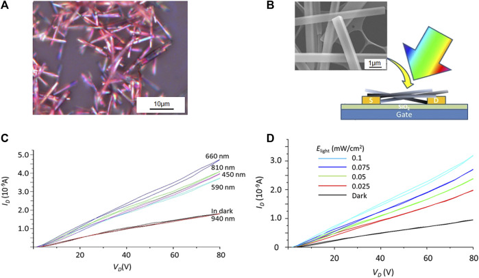 FIGURE 6