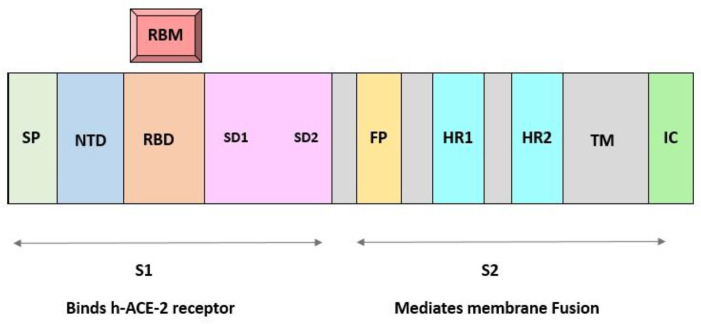 Fig. 2: