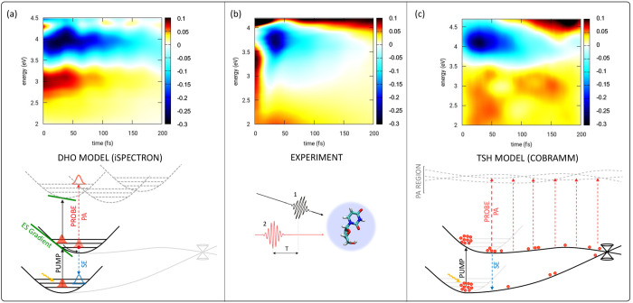 Figure 29