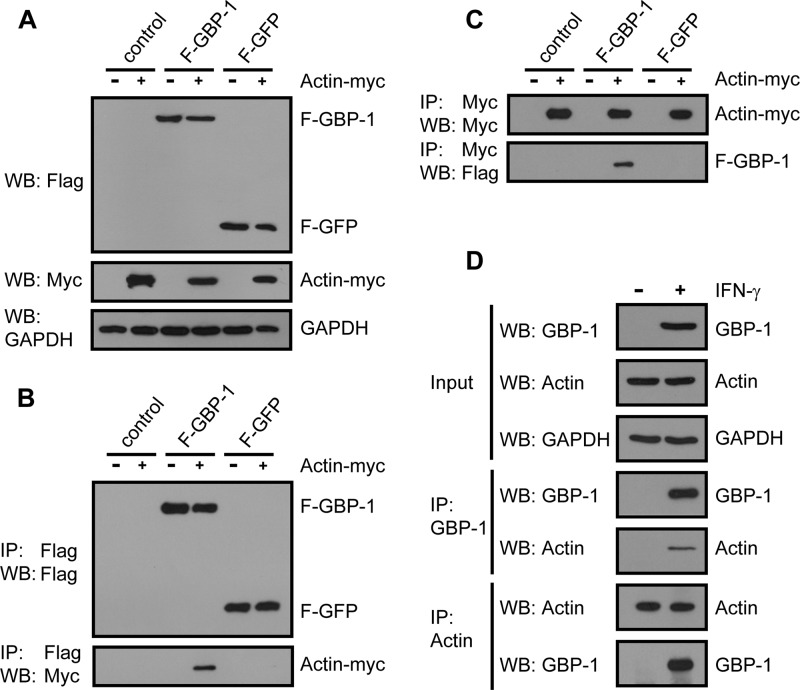 FIG 2