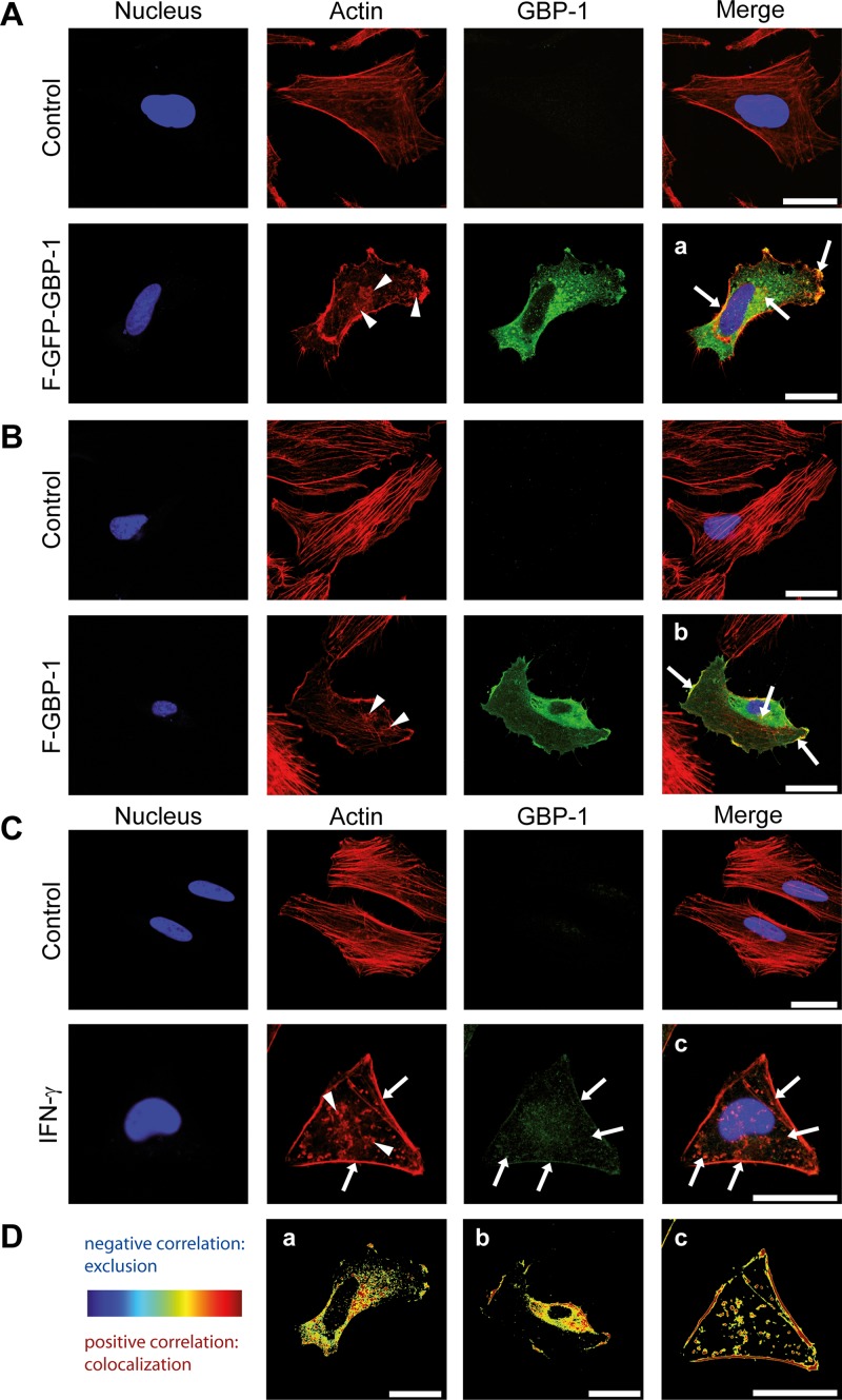 FIG 3