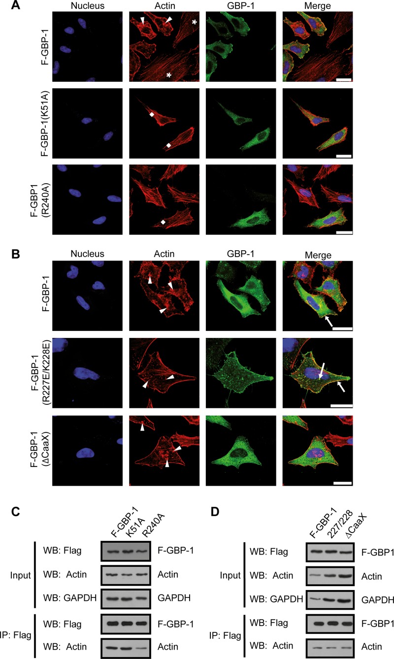 FIG 6