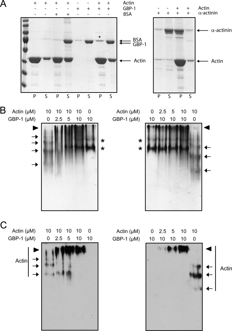 FIG 9