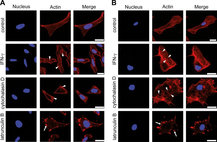 FIG 4