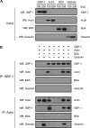 FIG 7