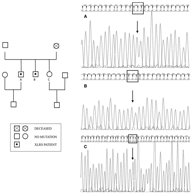 Figure 3.