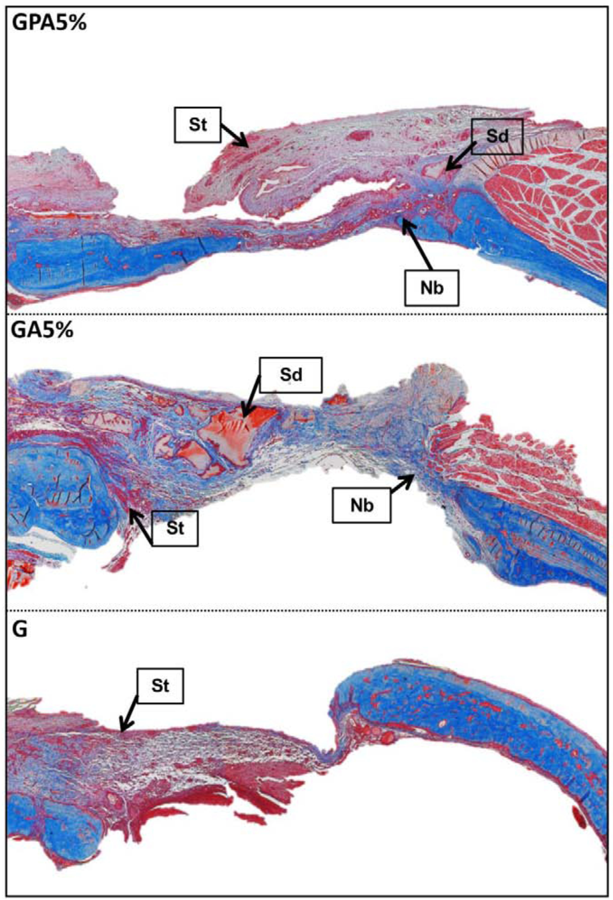 Fig. 10.