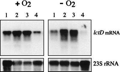 FIG. 7