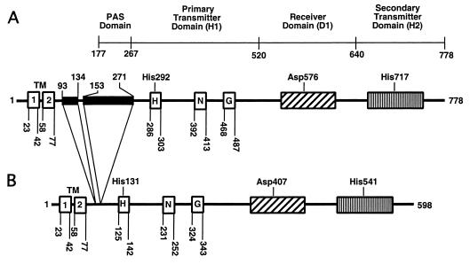 FIG. 1