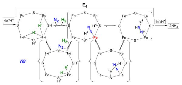 Fig 7