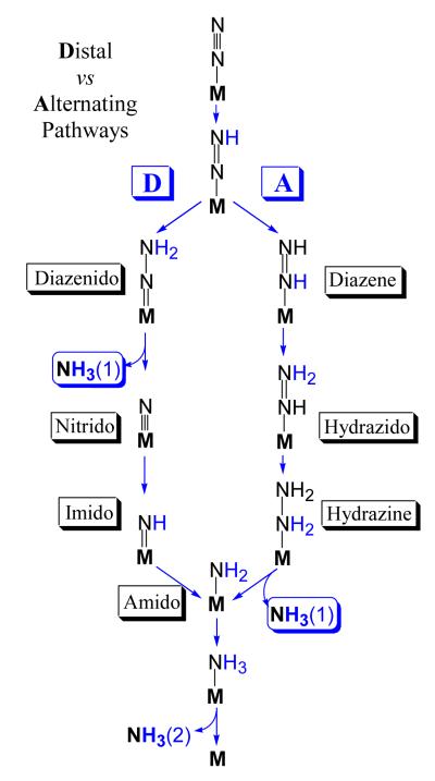 Schme 1