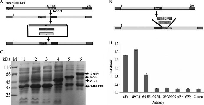 FIG 2