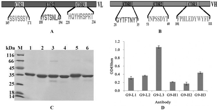 FIG 4