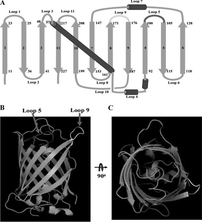 FIG 1