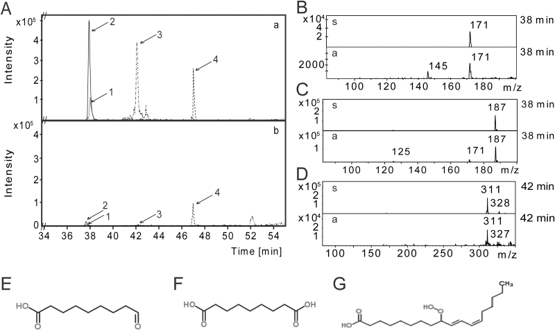 Fig. 4.