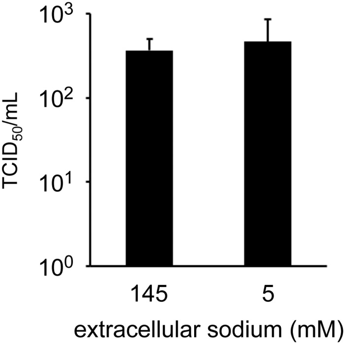 Fig 5