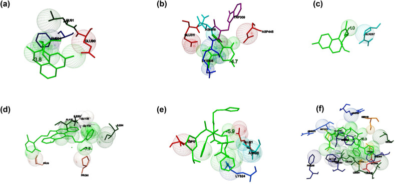 Fig. 7