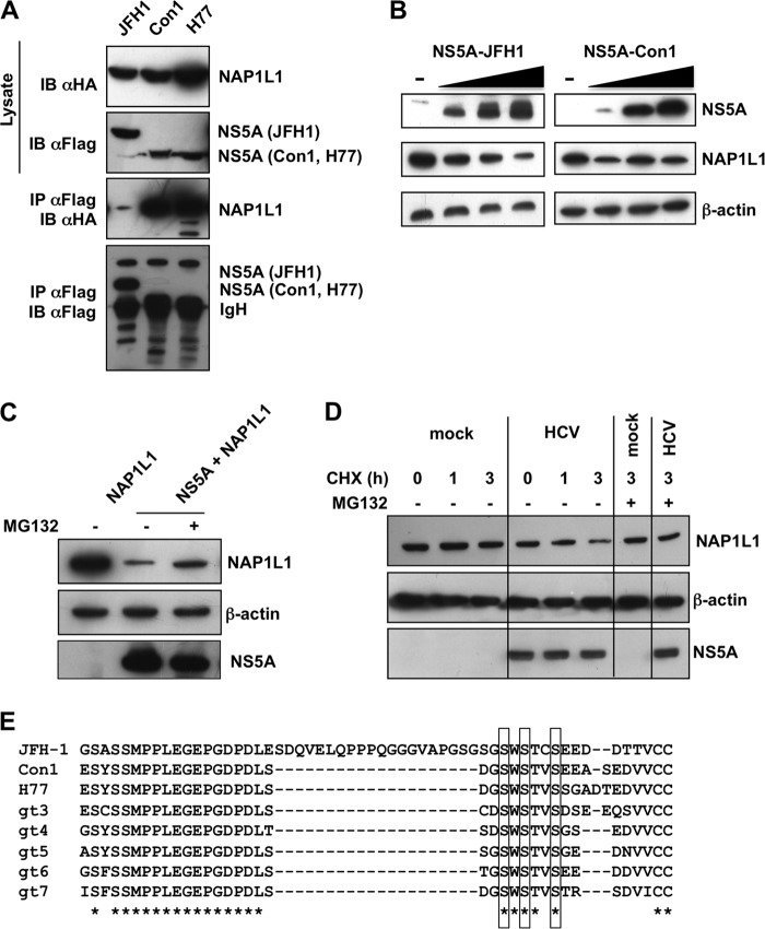 FIG 2