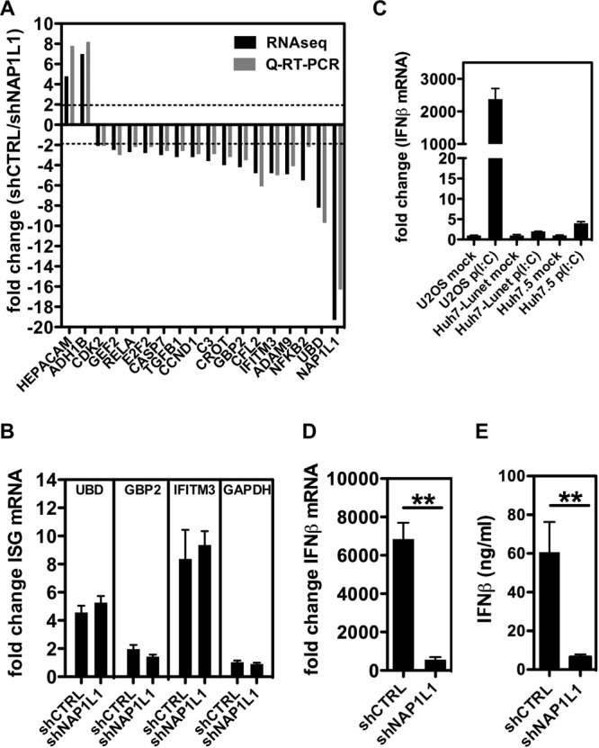 FIG 6