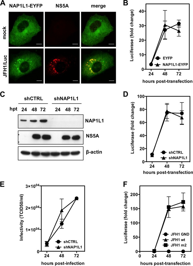 FIG 4