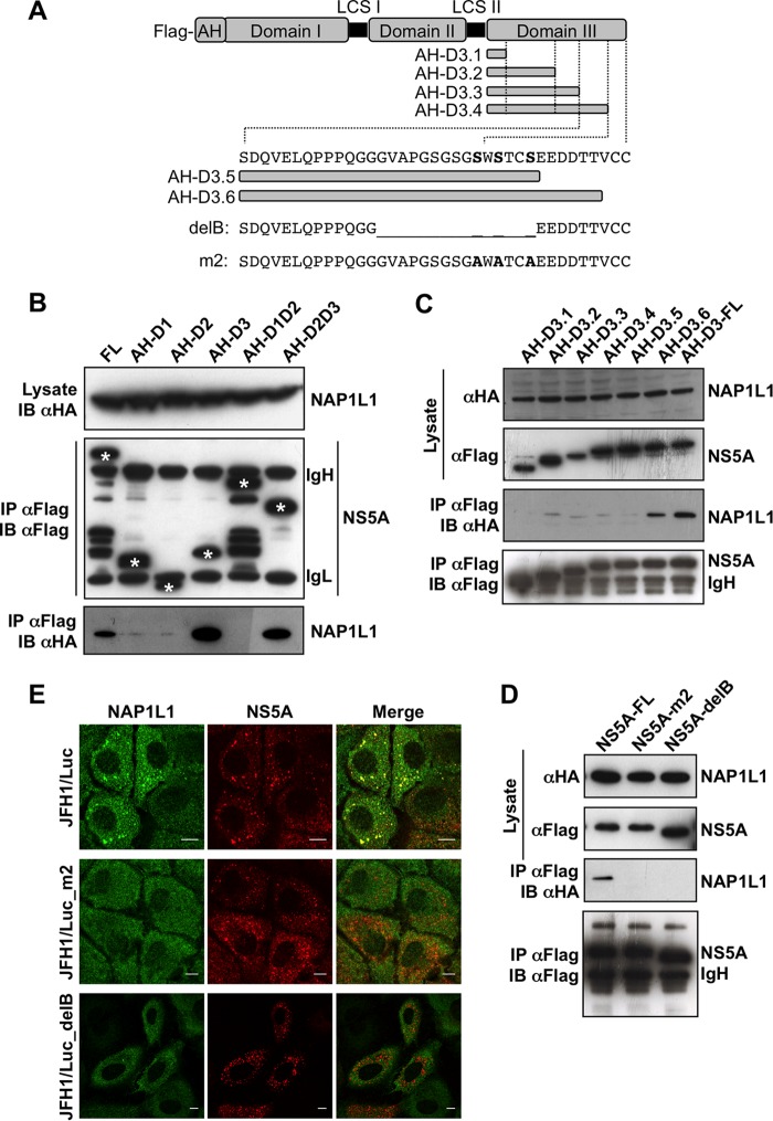 FIG 3