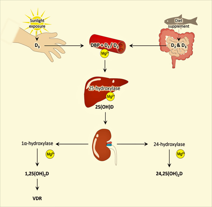 Figure 2