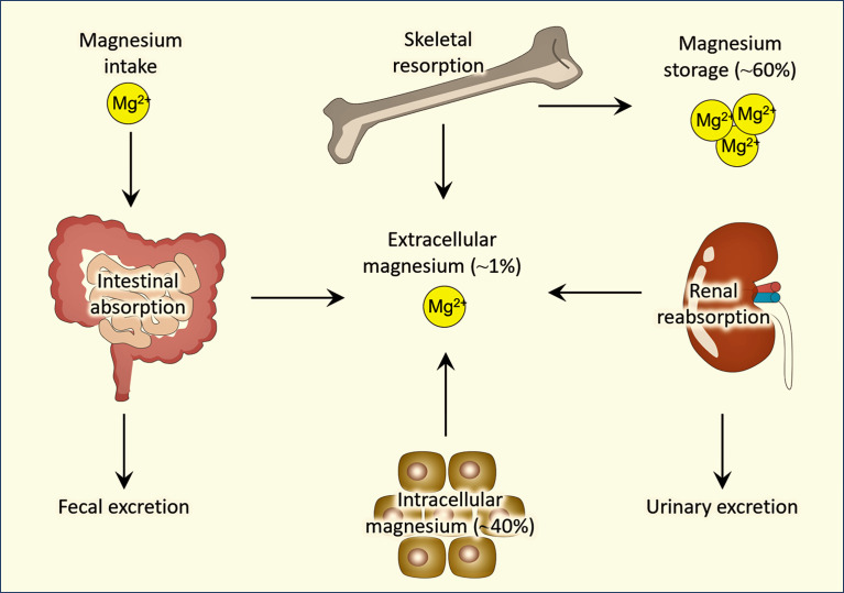 Figure 1