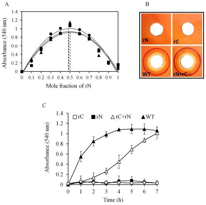 Figure 5