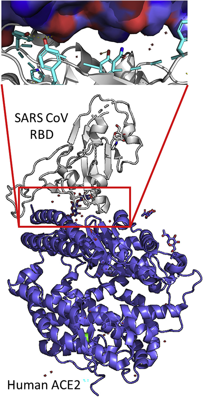 Figure 6