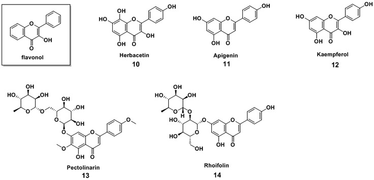 Figure 4