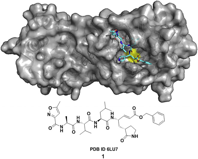 Figure 2