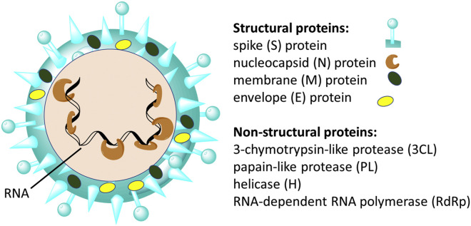 Figure 1