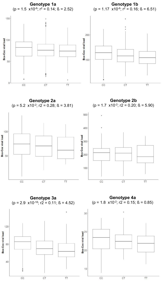 Figure 1—figure supplement 2.