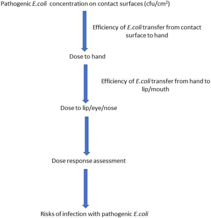 Fig. 2